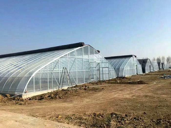 新型温室大棚 新型温室大棚