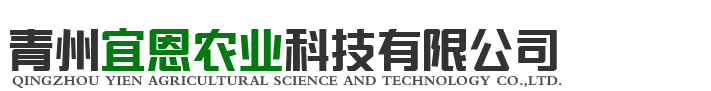 国产激情对白丝www